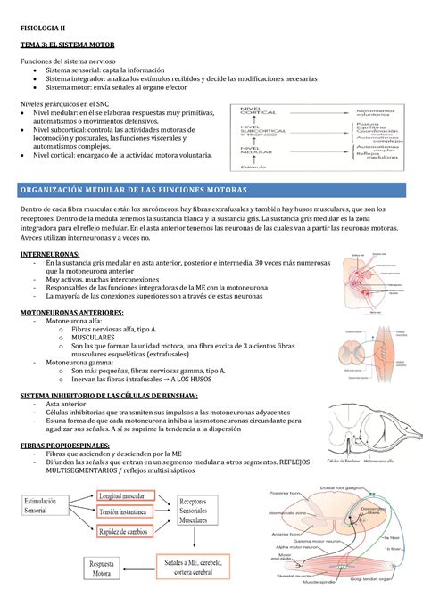 Sistema Motor Neurofisio Warning Tt Undefined Function