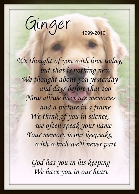 Pet Memorial Quotes. QuotesGram