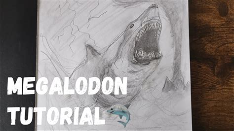 How To Draw The Meg Shark Megalodon Narrated Tutorial Youtube