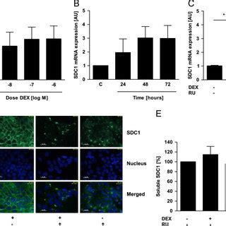 Syndecan 1 SDC1 Expression In Breast Cancer SDC1 Expression Was