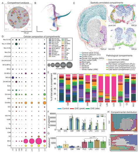 Single Cell Resolutionin Situsequencing Elucidates Spatial Dynamics Of Multiple Sclerosis Lesion