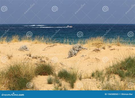 Playa Abandonada A Orillas Del Mar Mediterr Neo En Israel Imagen De