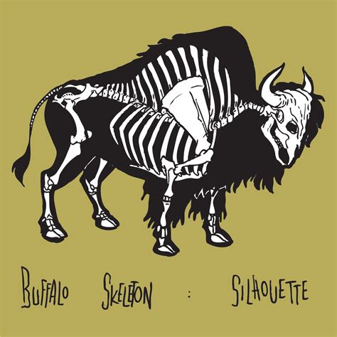 Buffalo Skeleton By Olivia Jungillustrator On Buffalo Skinners