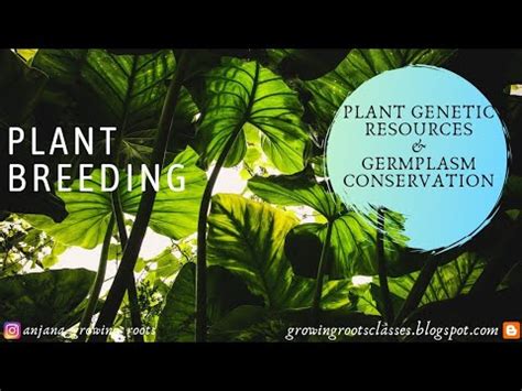 Plant Genetic Resources Germplasm Conservation Malayalam Gene