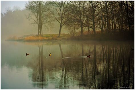 Photo By Remi Aerts Landscape Nature Photoforum Ru