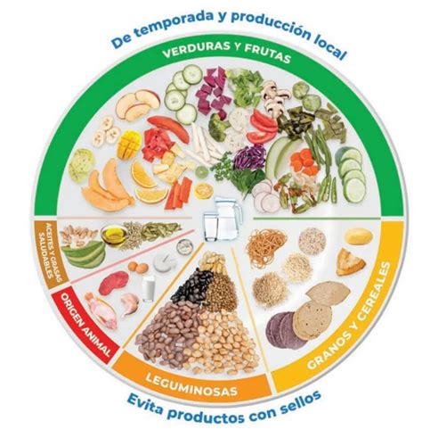 Conoce El Plato Del Buen Comer Plato Del Buen Comer Pla Nbkomputer