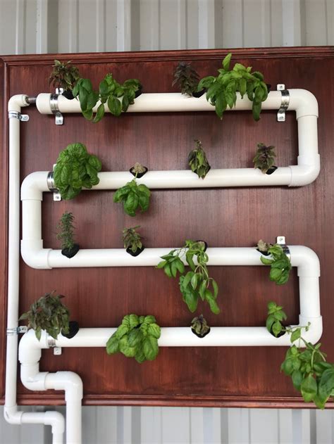 Indoor Hydroponic Wall Garden Travisyearwood