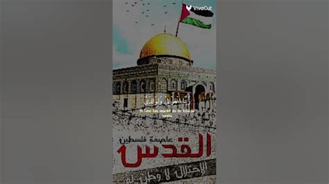 شدو بعضكم يا أهل فلسطين 🇵🇸 Youtube