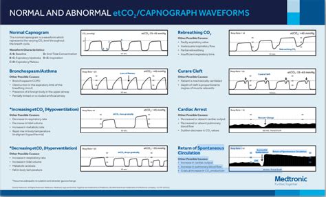 End Tidal Co2 Meaning / End Tidal Oxygen Measurement White Paper ...