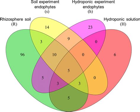 Venn Diagram Showing The Number Of Unique And Shared Bacterial Taxa