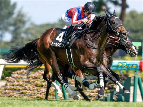 【出雲崎特別レース後コメント】トーホウガレオン川田将雅騎手ら 競馬ニュース Netkeiba