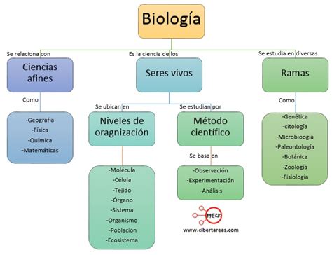 Mapa Conceptual De Biologia Porn Sex Picture