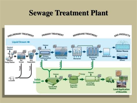 Flow Diagram Of Conventional Sewage Treatment Plant Sewage T