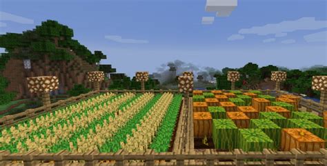 Fazenda No Minecraft Tipos E Como Fazer Cada Um Deles