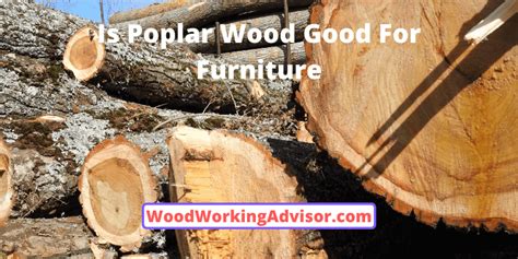 how long does it take for wood to be petrified