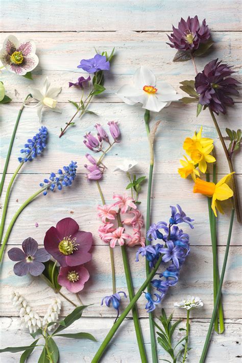 Spring Flower Bouquet