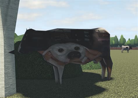 Easter Eggs - Official Streamlined Wiki