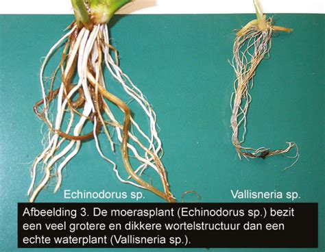 Plantentrilogie Deel 3 Easy Life