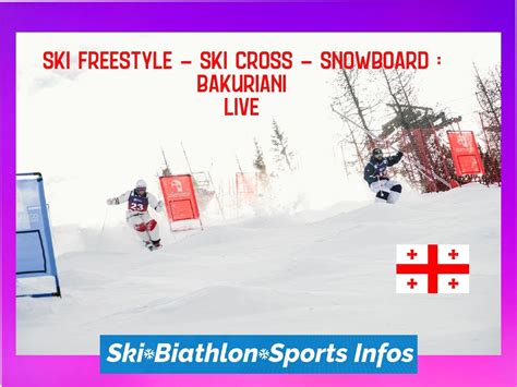 Ski Freestyle Ski Cross Snowboard Mondiaux Les R Sultats