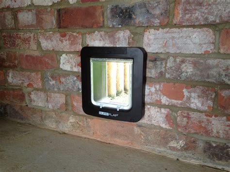 Wall Cat Flap Just Cat Flaps