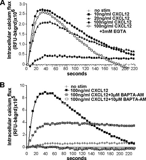 Cxcl12 Stimulates Mobilization Of Intracellular Calcium A Cxcl12 In Download Scientific