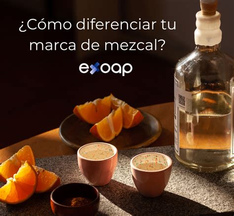 Apec Qu Es Y Cu Les Son Sus Beneficios Exoap