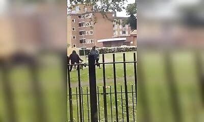 Une Femme Se Fait Sauvagement Attaquer Par Des Pitbulls Hors De