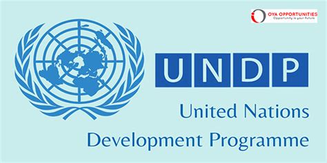 Undp Lcg Coordination And Communication Analyst Apply Now Oya