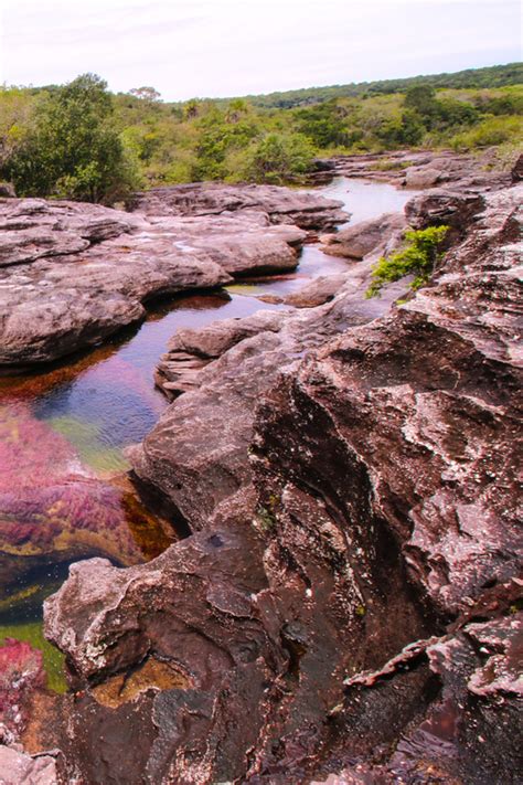 Excursi N A Ca O Cristales Desde Bogot D As Getyourguide