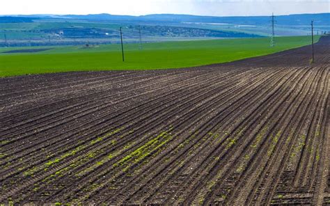 Le Classement En Zone Agricole Du Plan Local D Urbanisme