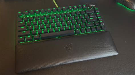 Razer BlackWidow V4 75 Review Killer Customization Dexerto