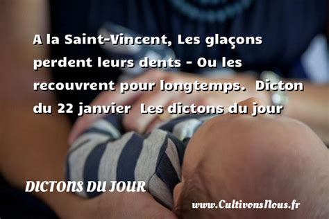 A La Saint Vincent Les Dictons Du Jour Cultivons Nous