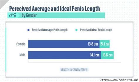 El Tama O Ideal Del Pene En Pa Ses