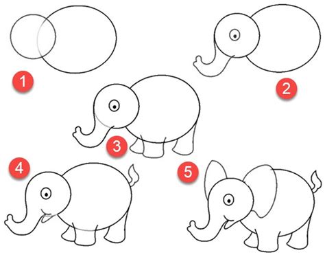 Cara Menggambar Hewan Vertebrata
