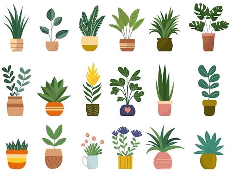 Conjunto De Plantas De Interior En Macetas En Vector Estilo Doodle