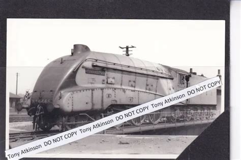 LNER EX GNR A4 Class 4 6 2 No 4465 Vintage Image L11071 1 50