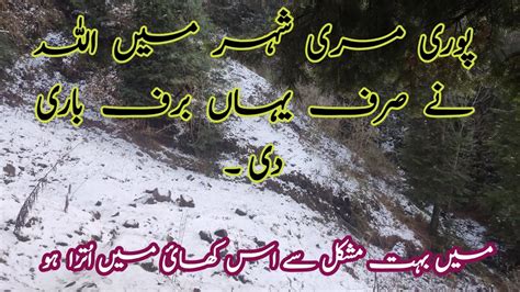 Murree Live Today Murree Murree Snowfall Update Kasmir Point