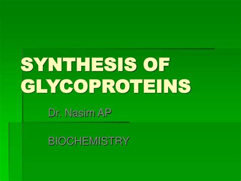 Ppt Synthesis Of Glycoproteins Powerpoint Presentation Free Download Id 3541303