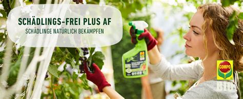 Compo Sch Dlings Frei Plus Af Insektizid Anwendungsfertiges Spray