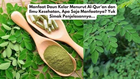 Manfaat Daun Kelor Menurut Al Qur An Dan Ilmu Kesehatan Apa Saja