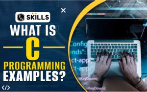 C Programming Examples For Beginners With Solutions & Output