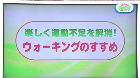 楽しく運動不足を解消！ウォーキングのすすめ【長崎街道をウォーキング】｜ライフ｜kachi Kachi Plus