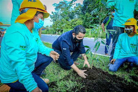 Gobierno lanza Plan MOP Verde el plan de reforestación para compensar