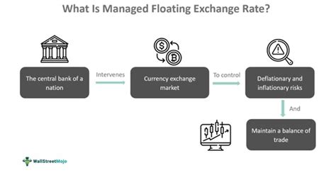 Managed Floating Exchange Rate System What Is It Examples