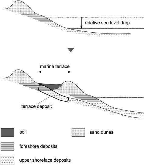 Marine Terraces