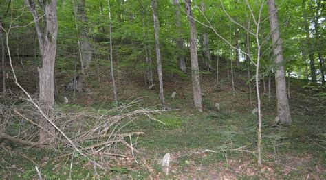 Stollings Perry Cemetery In Chapmanville West Virginia Find A Grave