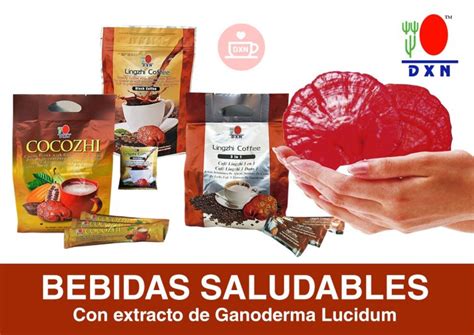 Que Es Ganoderma Lucidum Dxn Afiliacion Gratuita Dxn