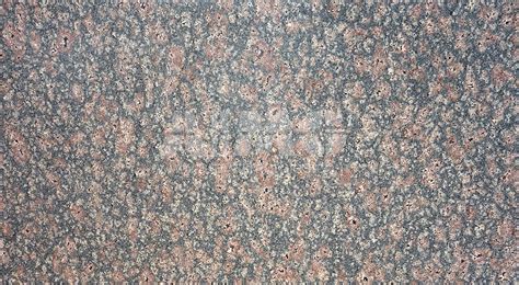 Bell Flower Granite Exporter Supplier Manufacturer From India