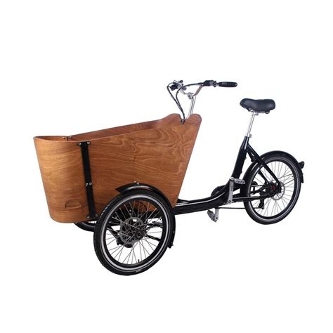 Electric Tricycles Trikes and Retail: A Sustainable and Efficient ...