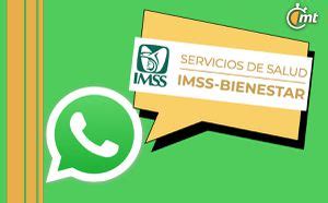 Así puedes obtener credencial IMSS Bienestar por WhatsApp Mediotiempo